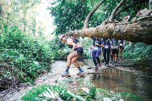 BIB: 
                            <button type="button" onclick="openModal(25463282)" class="btn btn-primary btn-sm float-right btn-popup" data-toggle="modal" data-target=".modal-high-quality">
                        <i class="fas fa-shopping-cart"></i> Add to Cart
                    </button>
                                            <button type="button" onclick="isThisMe(25463282, true)" class="btn btn-success btn-sm float-right btn-popup btn-isme hidden" data-toggle="tooltip" data-placement="bottom" title="นี่คือรูปของคุณใช่ไหม คลิกที่นี่เพื่อเอาเข้าอัลบั้ม">
                        <i class="fas fa-plus"></i> Add to album
                    </button>
                    <button type="button" onclick="isThisMe(25463282, false)" class="btn btn-warning btn-sm float-right btn-popup btn-isnotme hidden">
                        <i class="fas fa-ban"></i> Remove from album
                    </button>